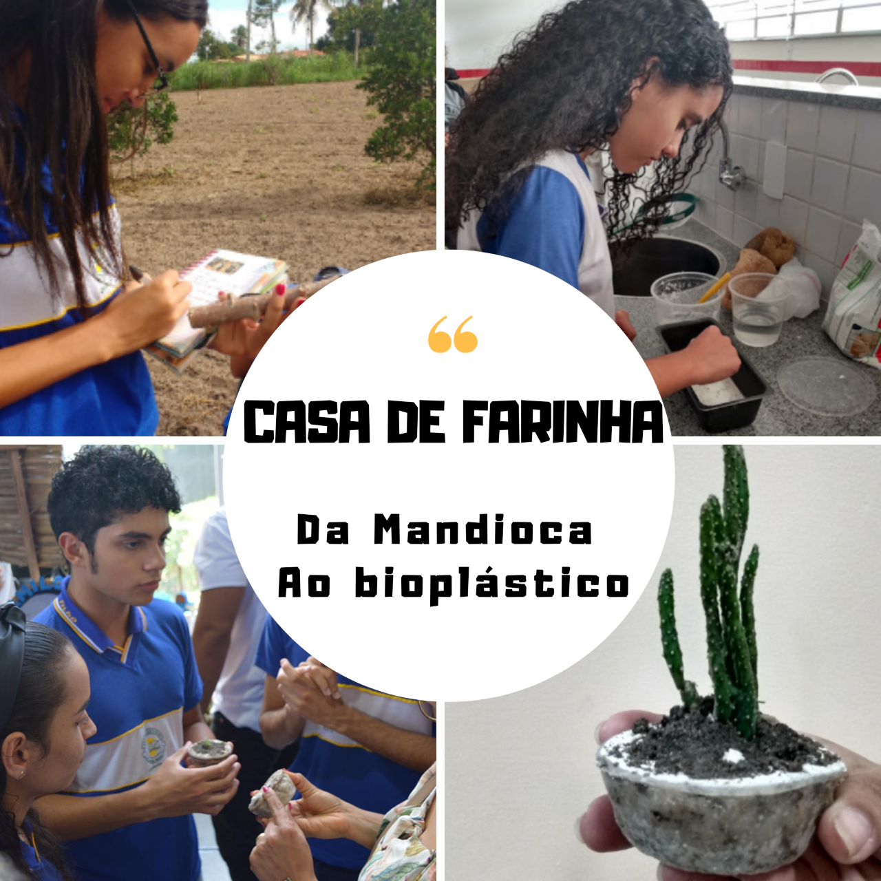 Foto do projeto