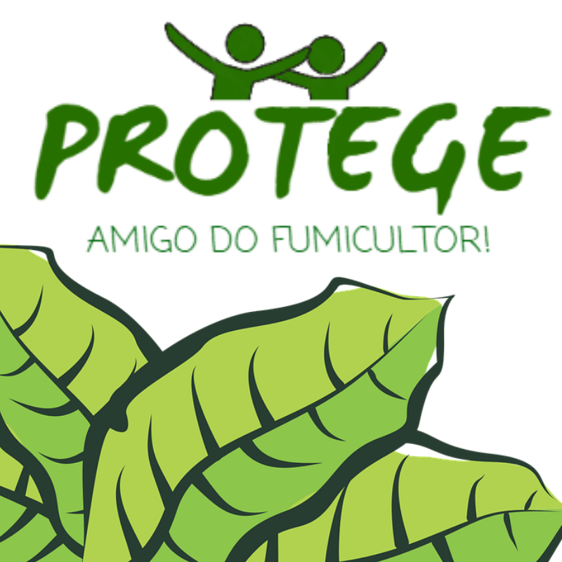 Foto do projeto