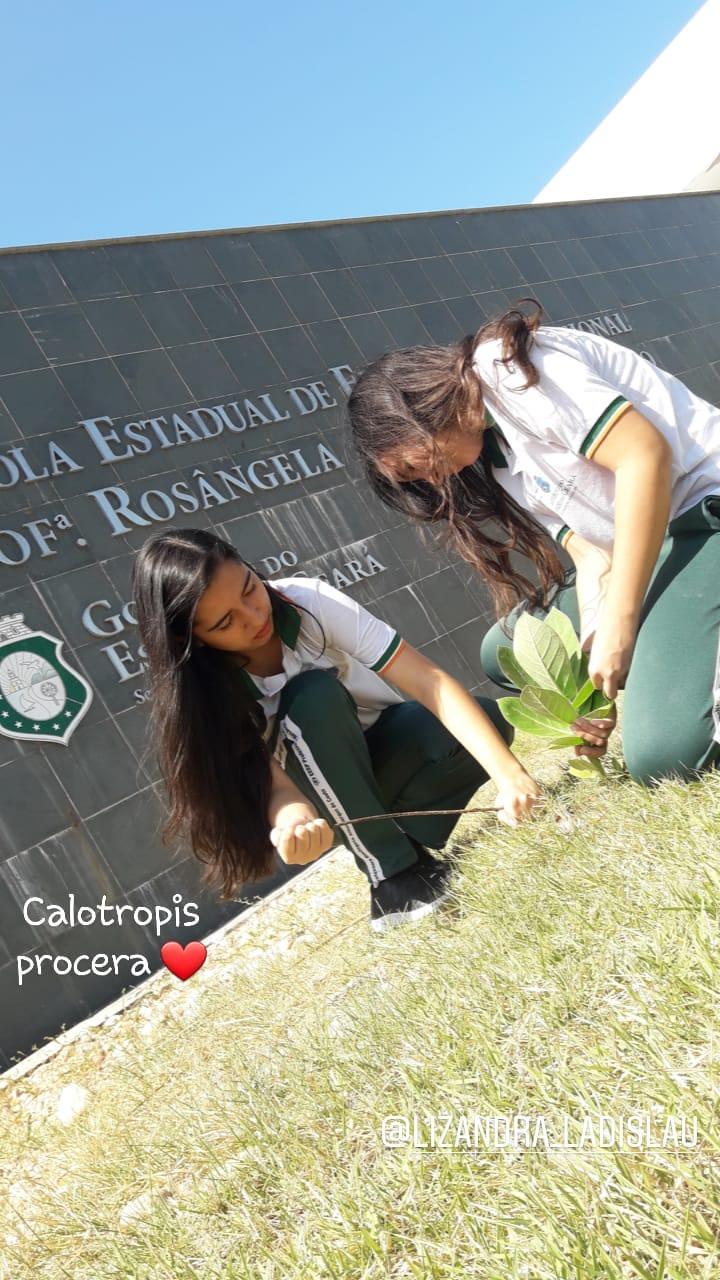 Foto do projeto