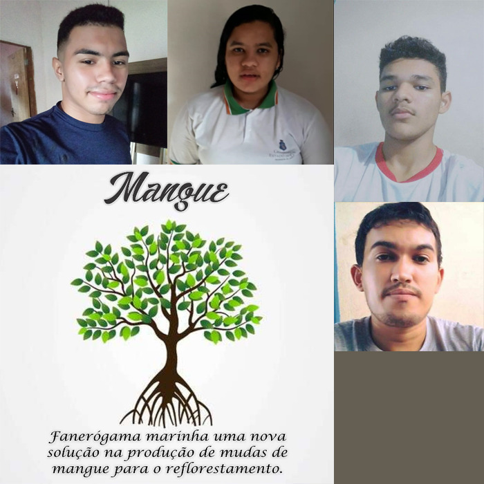 Foto do projeto