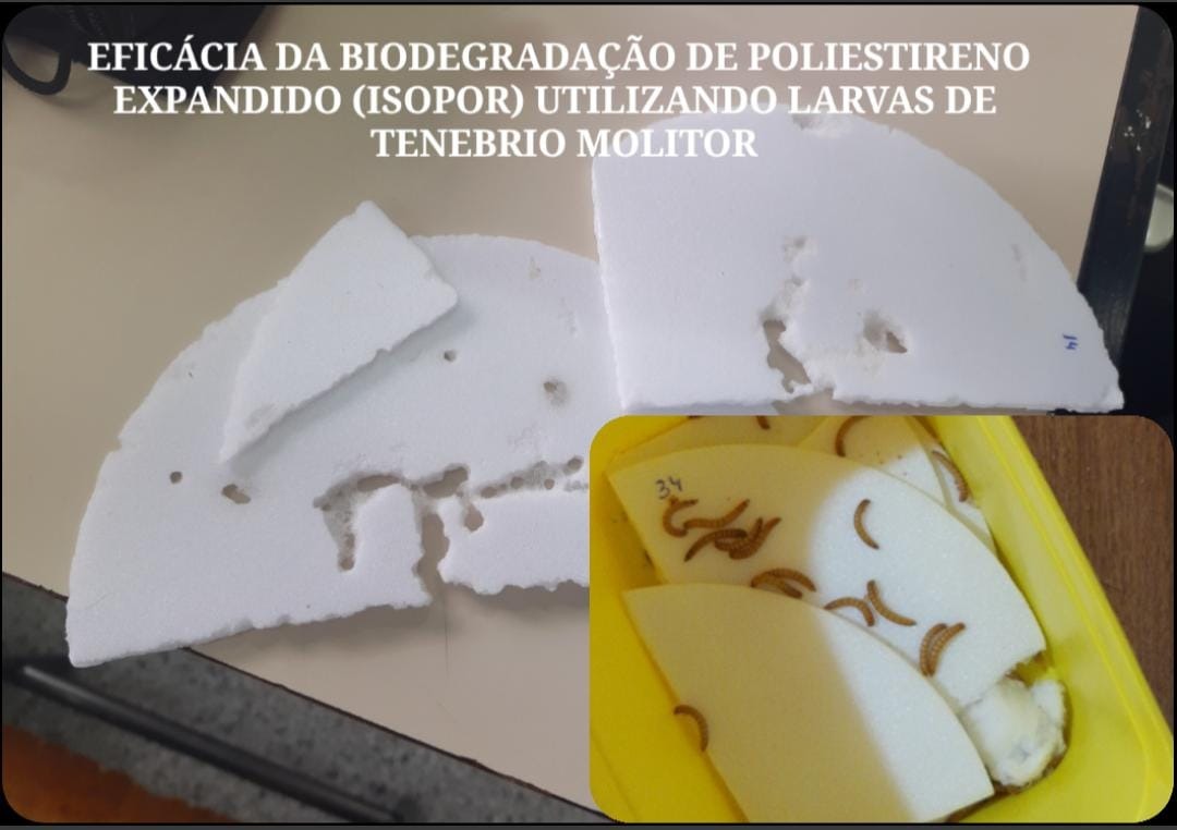 Foto do projeto